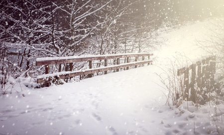 Winter landscape. Bridge covered in snow in forest.