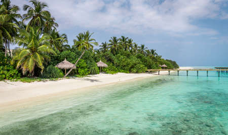 Amazing blue lagoon and tropical island in Maldivesの写真素材