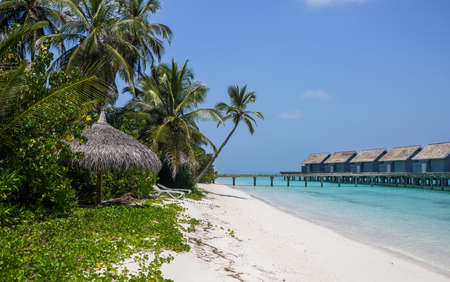 Unique beauty of blue lagoon on tropical island in Maldivesの写真素材
