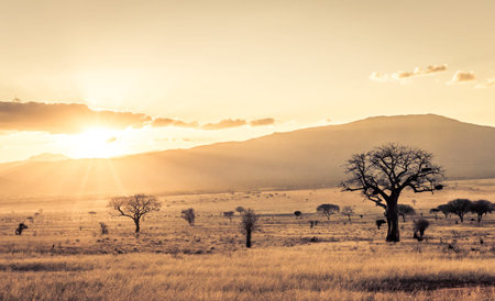Amazing sunset at savannah plains in Tsavo East National Park, Kenya
