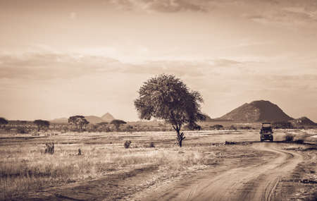 Amazing savannah plains landscape and safari road in Kenyaの写真素材