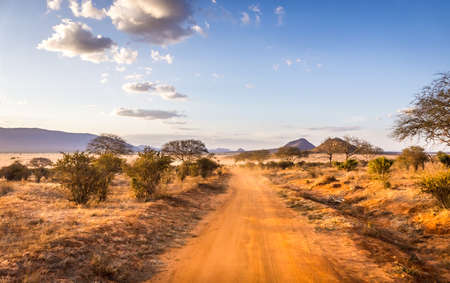 Amazing savannah plains landscape and safari road in Kenyaの写真素材