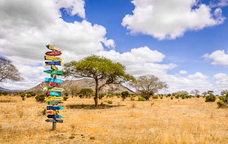 Funny different world directions signpost with distance to many different countriesの写真素材