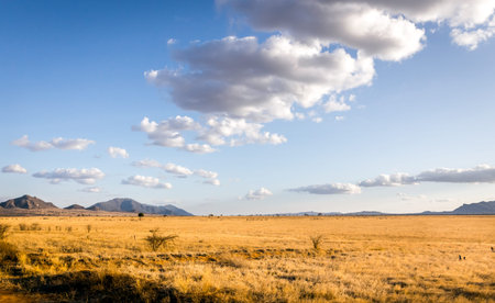 Beautiful savannah plains landscape in Tsavo park, Kenyaの写真素材