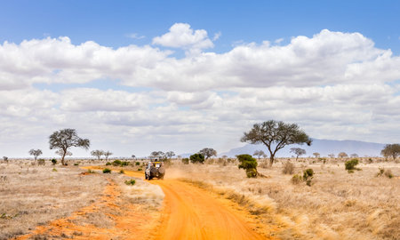 Amazing savannah plains landscape and safari road in Kenyaの写真素材