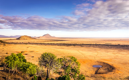 Aerial view on savannah plains in Tsavo park, Kenyaの写真素材
