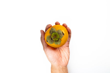 Kaki persimmon fruit person of color holding the fruit on a white background. Fresh fruit for cooking and website building.の写真素材
