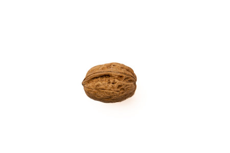 Single tree walnut on a white background