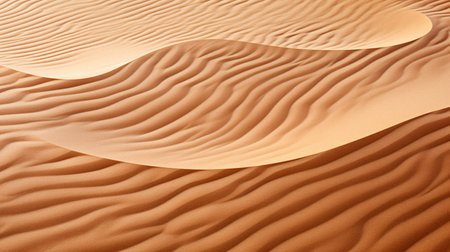 Against vivid sunset skies, a lone camel travels across rippling Saharan dunes toward the distant sand dune horizonの素材