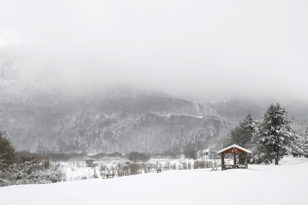 Abant Lake Panorama - Bolu, Turkeyの写真素材