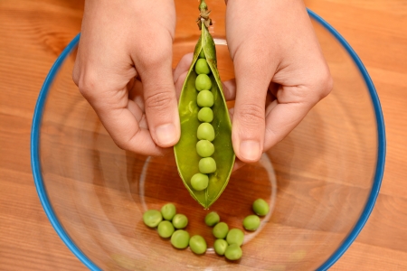  Preparing Fresh Beans For Cookingの写真素材