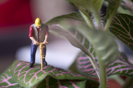 Miniature Worker On Top Of Plant's Leafの写真素材