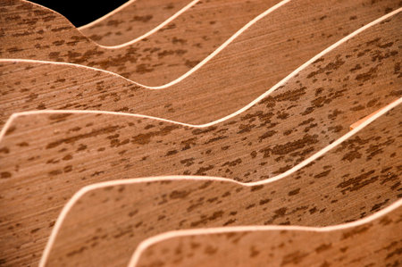 Wood Slices For Carpentry