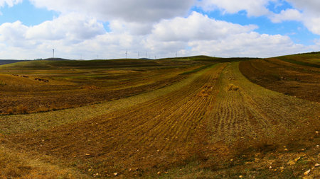 Farmland panorama