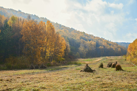 Autumn landscape in the northern valley of China.の写真素材