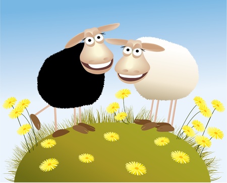 Black and white sheep のイラスト素材