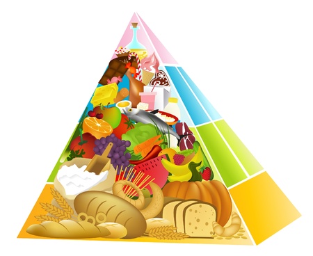 Food Pyramid のイラスト素材