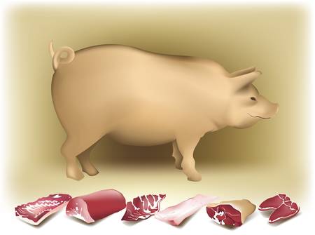 Pig   pork のイラスト素材