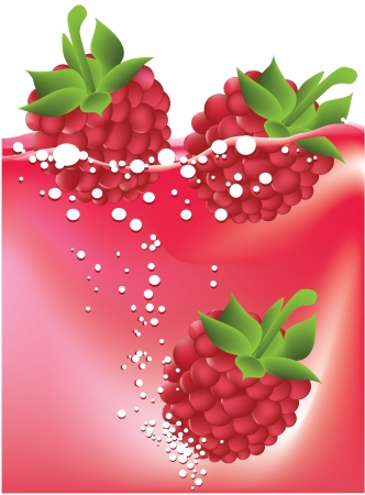 Raspberriesのイラスト素材