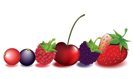 Fruitsのイラスト素材