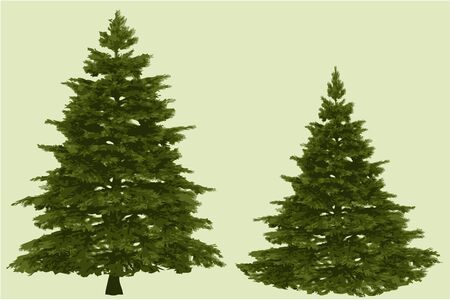 Two Christmas treesのイラスト素材
