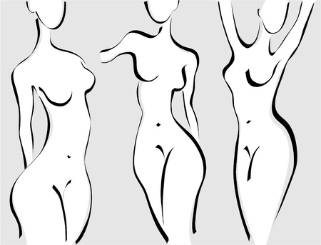 Slim woman s bodyのイラスト素材