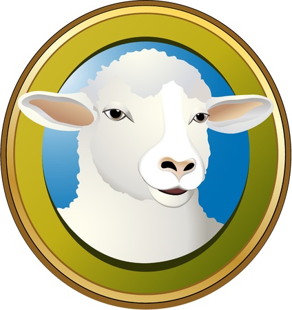 Sheepのイラスト素材