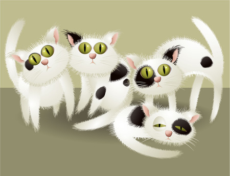White cute catsのイラスト素材