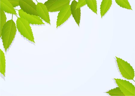 Nature background with tree leavesのイラスト素材