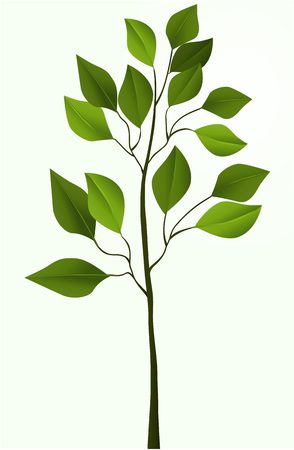 Illustration of simple treeのイラスト素材