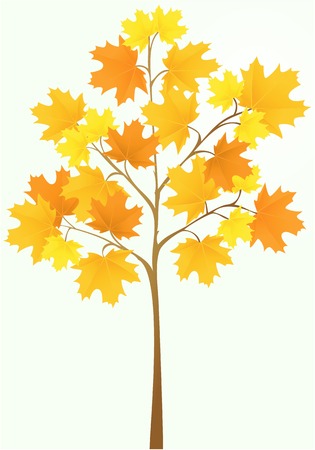 Illustration of simple treeのイラスト素材