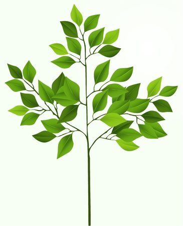Illustration of simple treeのイラスト素材