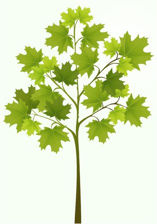 Illustration of simple treeのイラスト素材