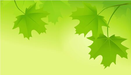 Nature background with tree leavesのイラスト素材