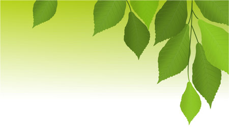 Nature background with tree leavesのイラスト素材