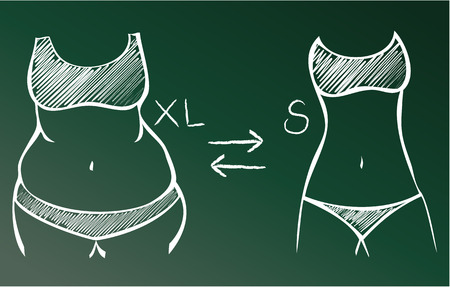 Fat and slim woman figureのイラスト素材