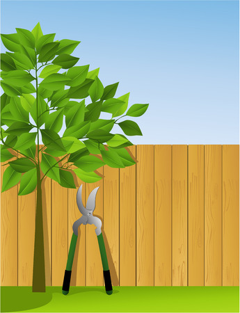 Garden scissors at the fenceのイラスト素材