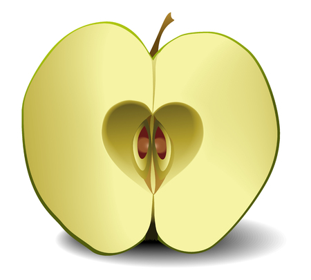 Apple fruit with heart shapeのイラスト素材