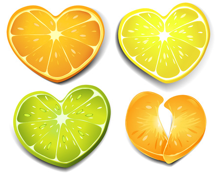 Citrus heart shapeのイラスト素材