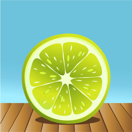 Summer lime fruitのイラスト素材