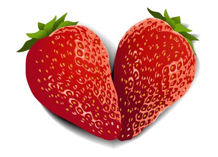Strawberry fruit heartのイラスト素材