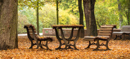 Autumn Park Benches and Table with many leafsの写真素材