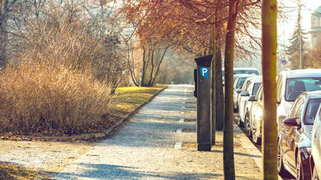Parking Meter on a Full Street of Parked Carsの写真素材