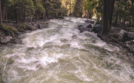 Wild Enlarged River, White Water Rapids Surrounded by Forests, Dangerous but Beautiful Natureの写真素材