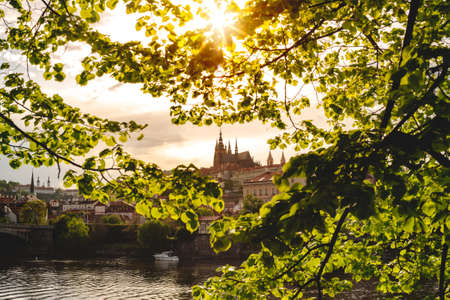 View of Prague Castle Through Green Tree Leaves, Sunset over City by the River Vltava, Moldovaの写真素材
