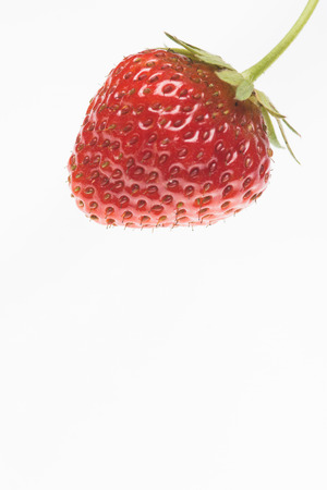 Strawberry. High resolution image.の写真素材