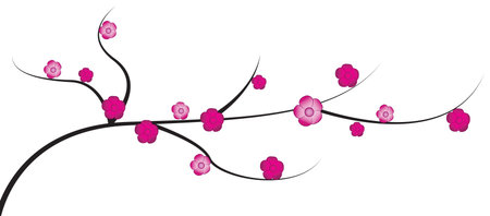 Cherry twig with flowersのイラスト素材