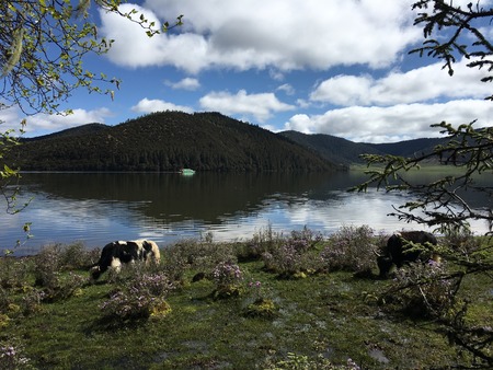 natural sceneryの写真素材