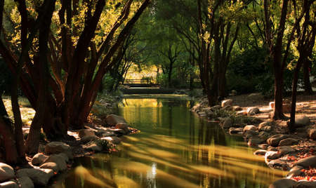 Landscape scenery view of a forest with reflection on the riverの写真素材
