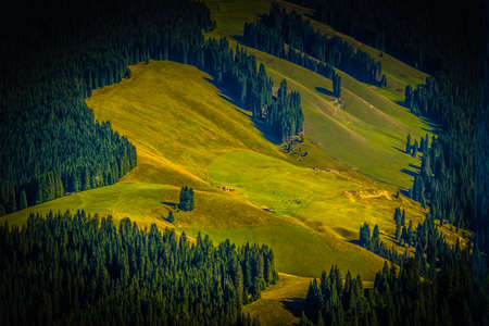 Landscape scenery view of a grassland in Xinjiang, Chinaの写真素材